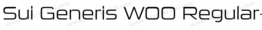 Sui Generis W00 Regular字体转换